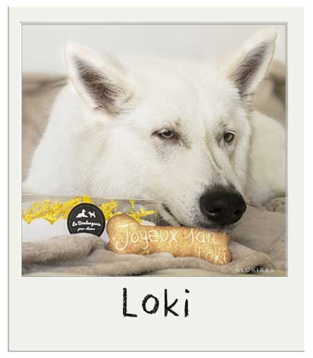 Loki